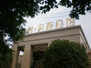 成都仿石漆 成都仿石漆
